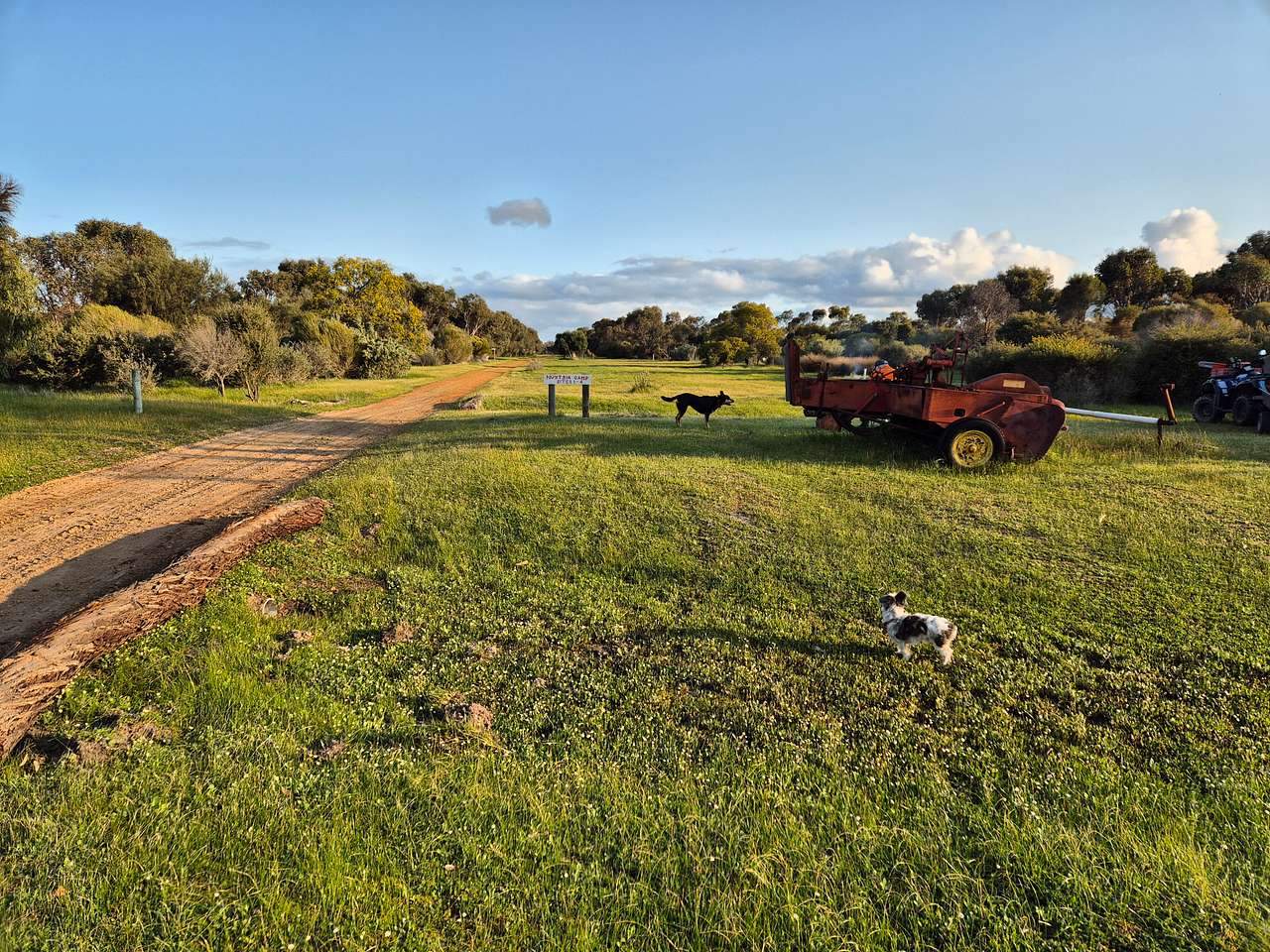 Picture of the site