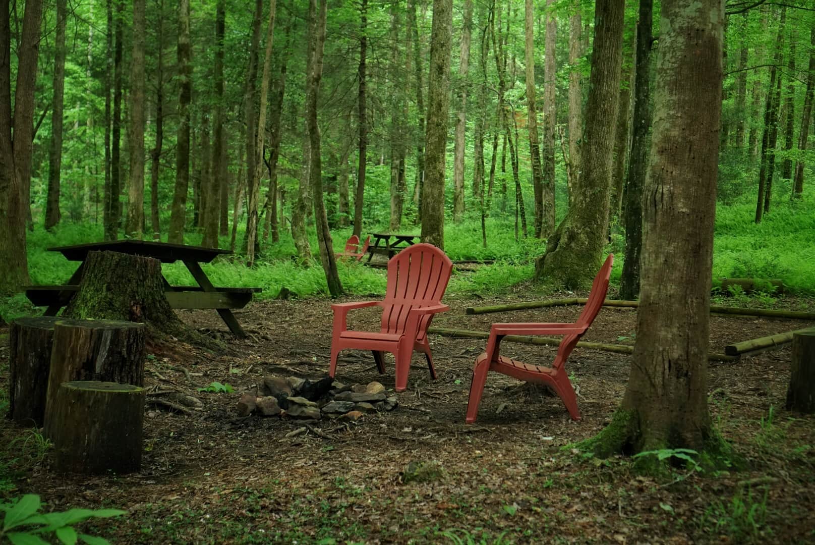 Mulberry Gap - Camping & Van Stays