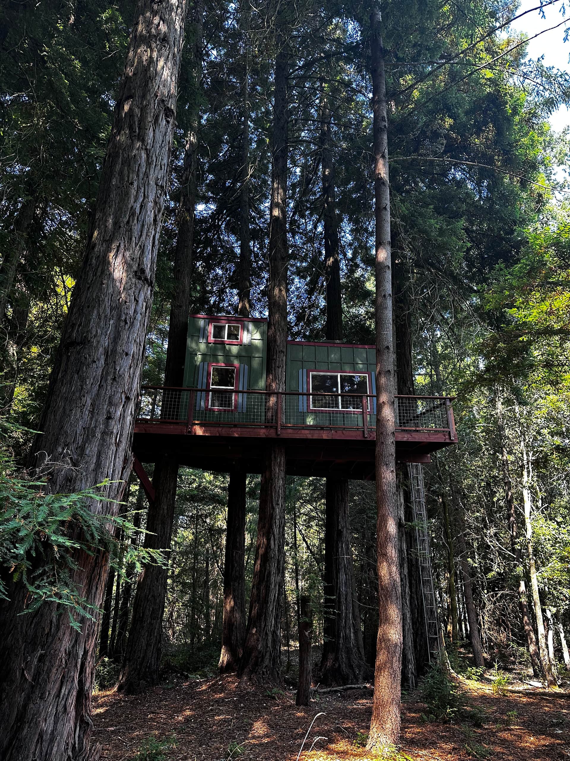 Redwood and knotty pine hand crafted 31' high tree cabin accessible by ladder only for those 18 years and older. There is a portable toilet on the wraparound deck and an electric luggage lift to get your gear up there safely. It has power and heat and a coffee maker, mini fridge, coffee, and tea. Also some cozy hooded rubs to make your way down to the hot tub in.