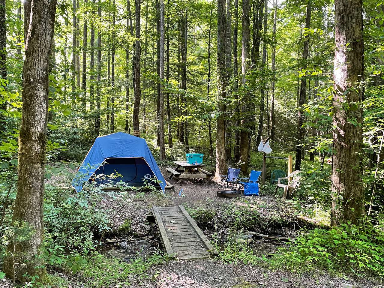 Mulberry Gap - Camping & Van Stays