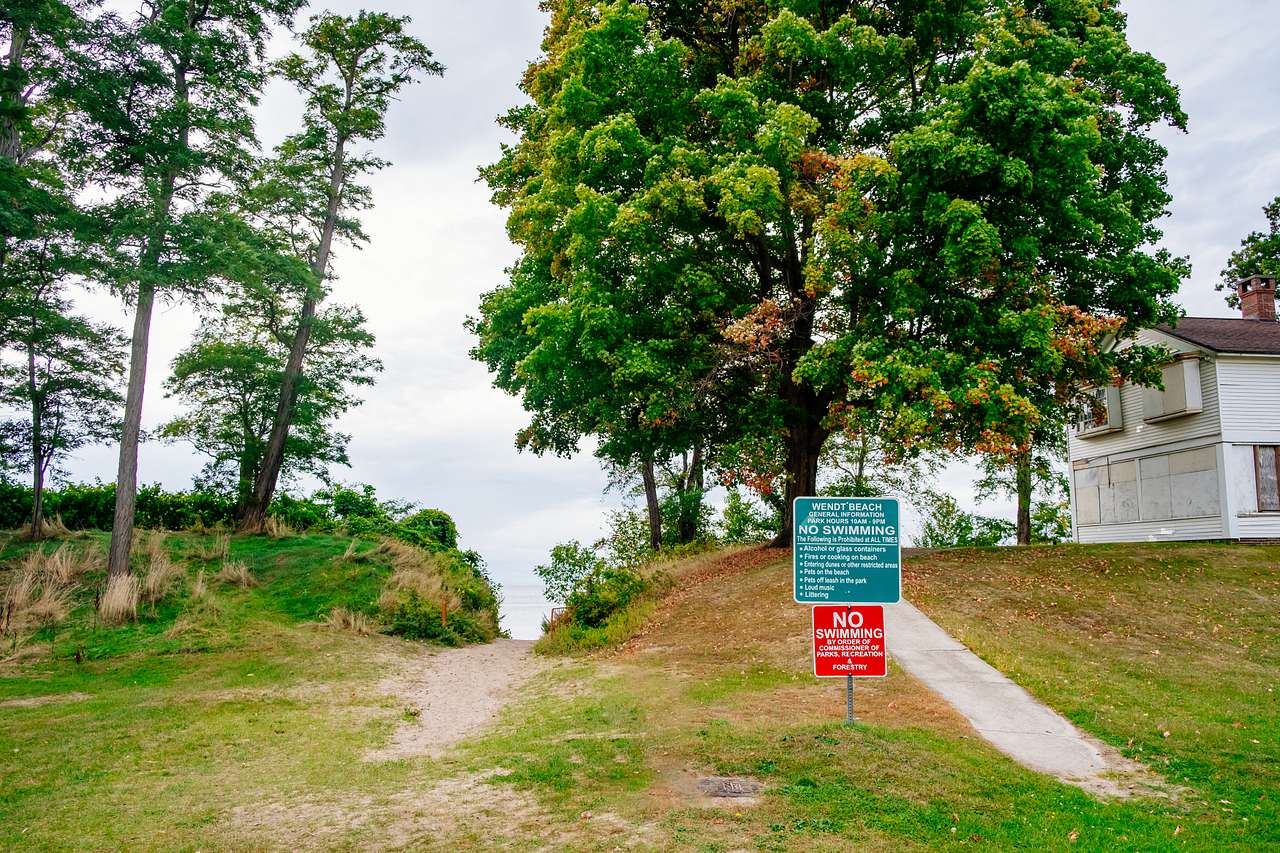 Picture of the site