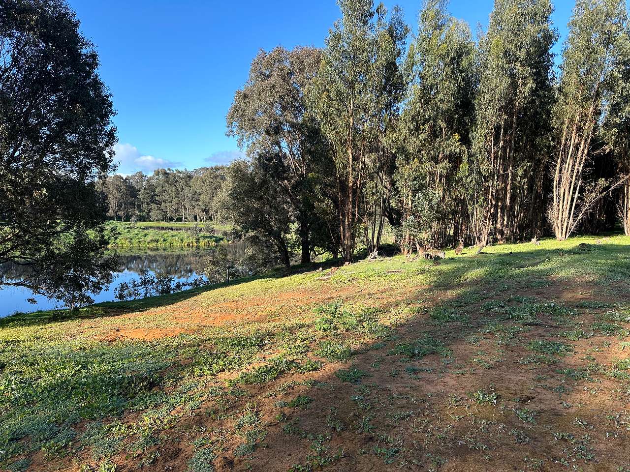 Nannup River Cottages