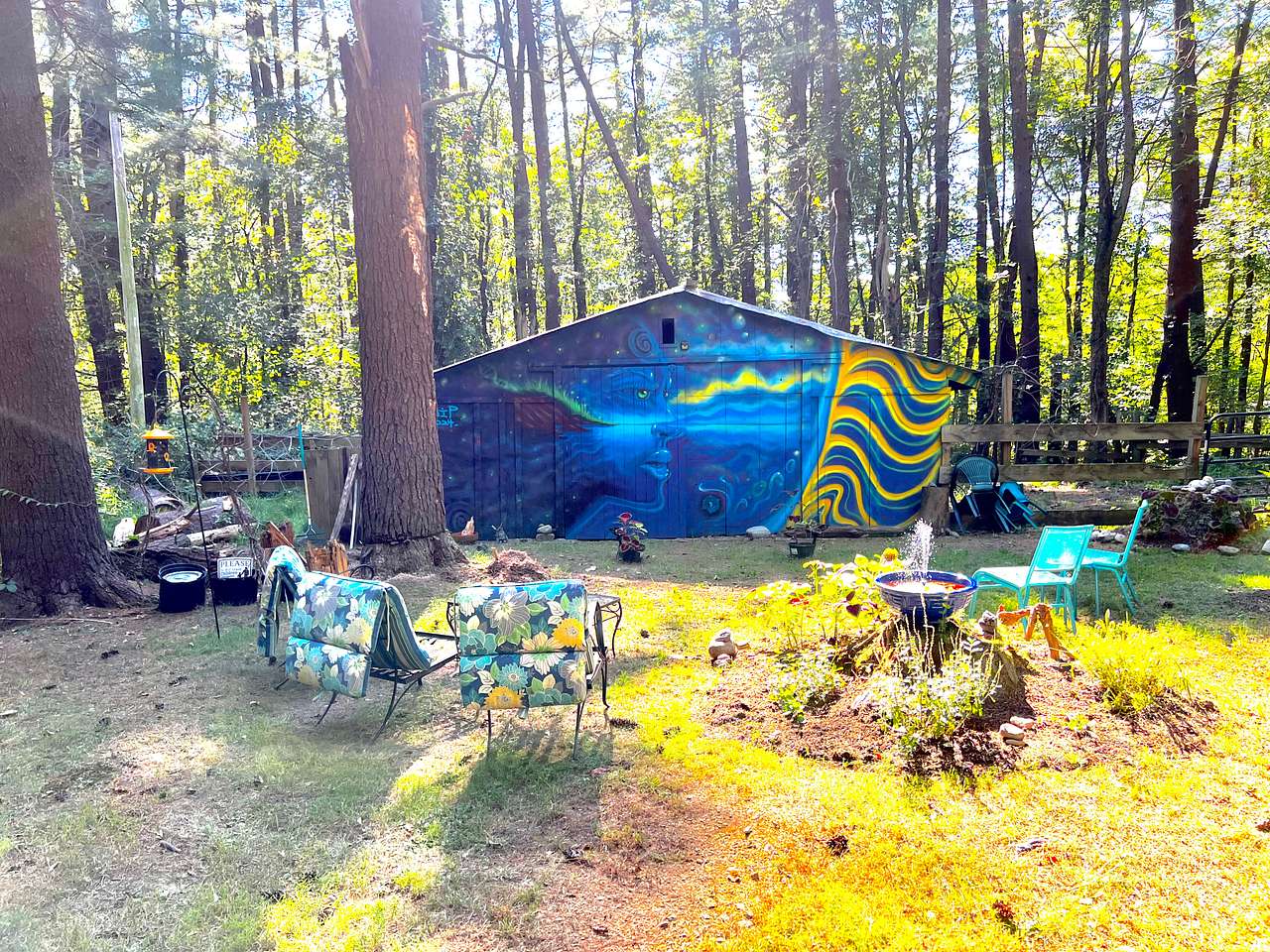 Picture of the site