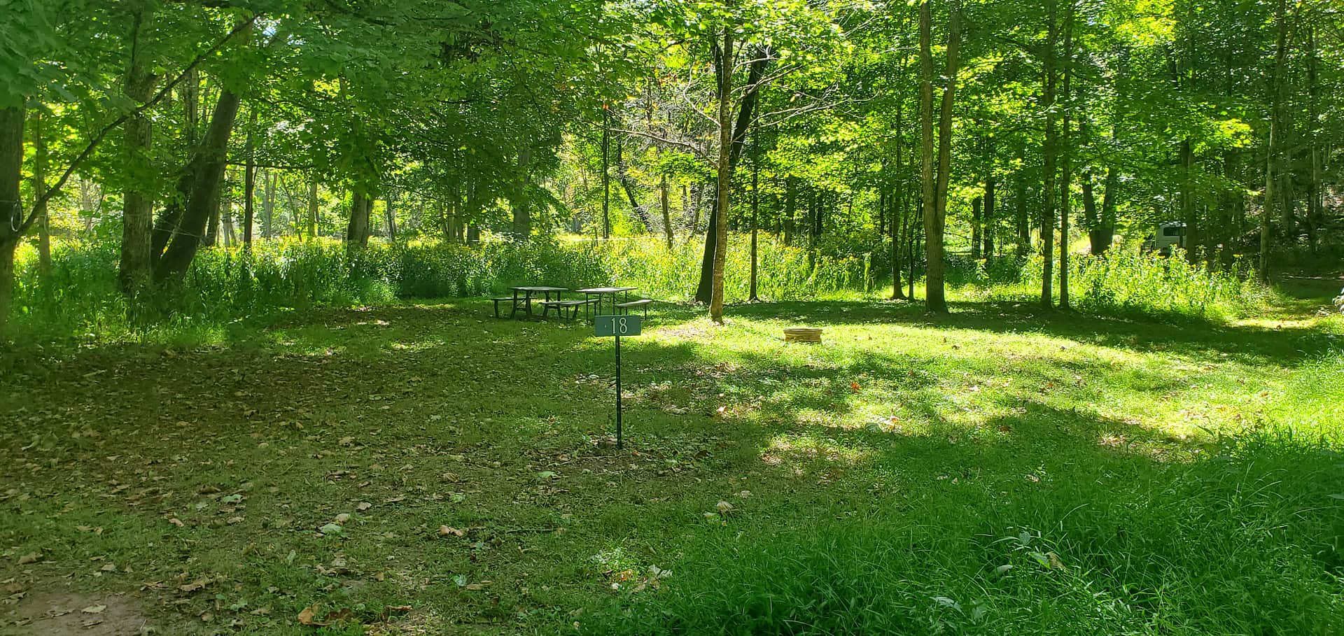 Site #18  9/24