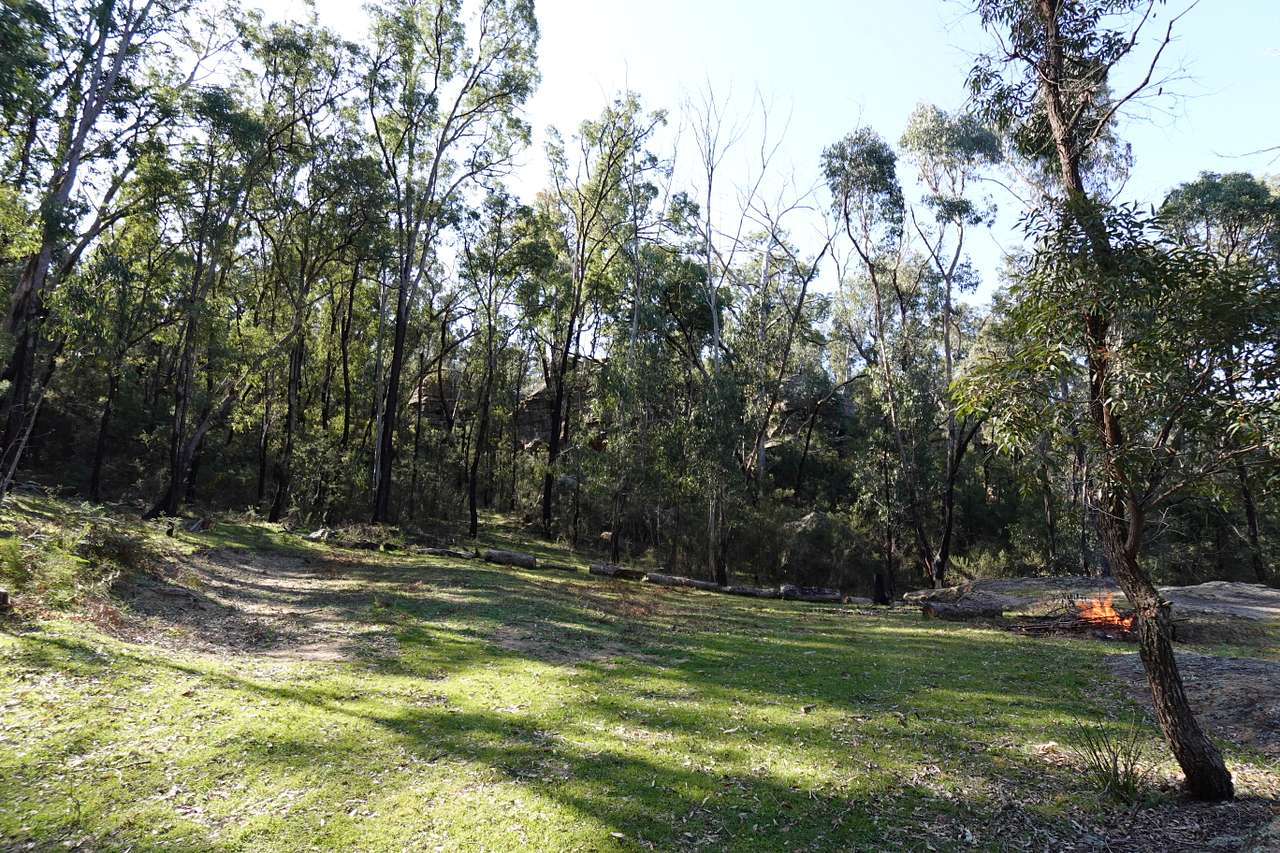 The Wollemi Art Farm