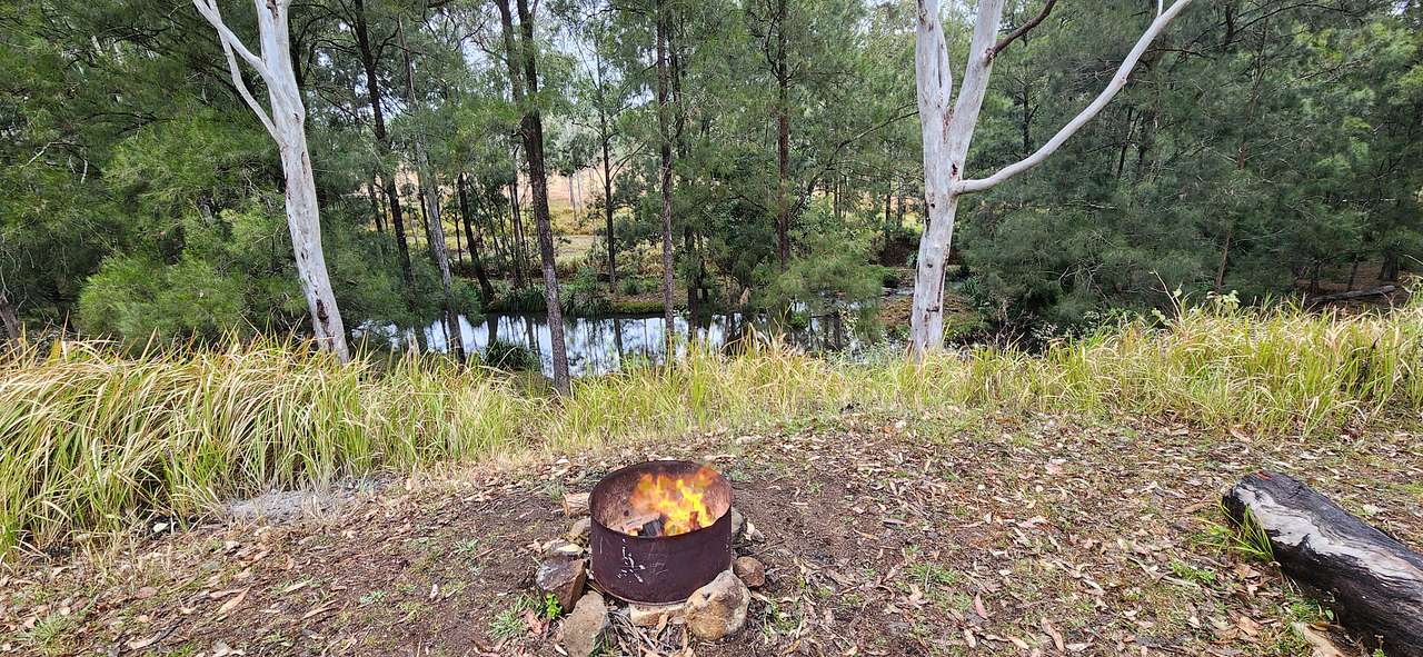 Looking down to the creek from camp