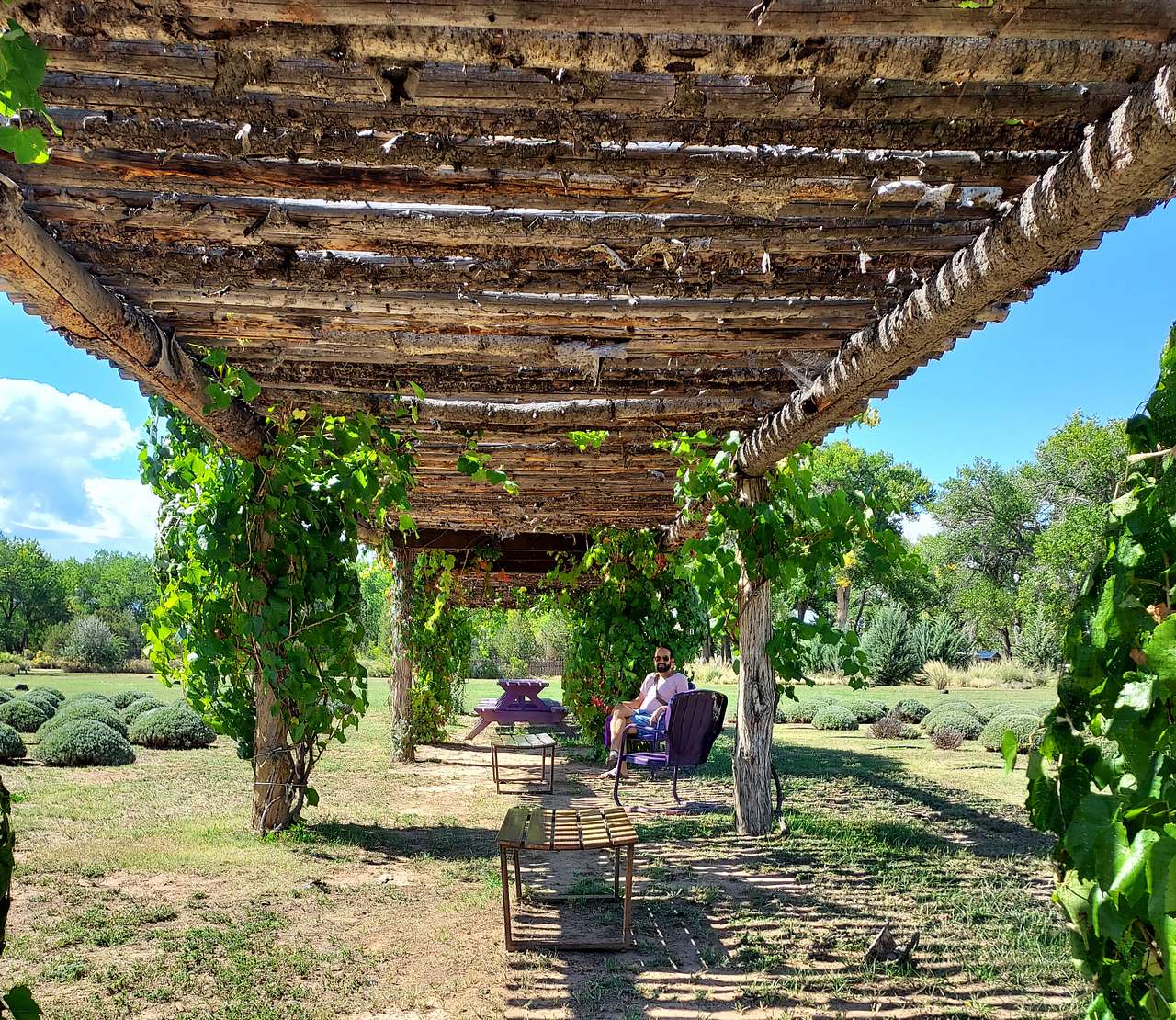 Javali River Glamping