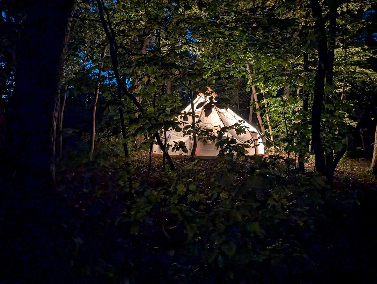 Yurt Glamping Tents + Farm Animals