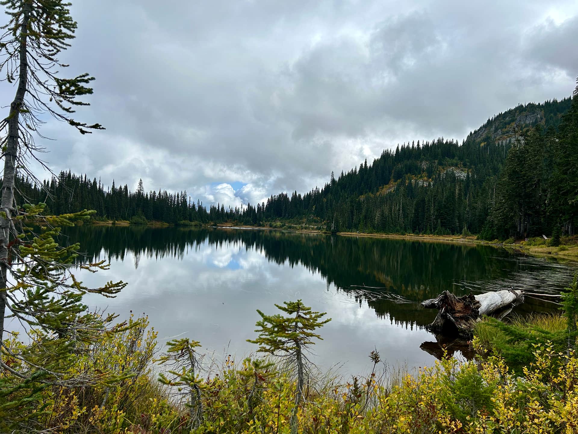 Paradise On The Pond RV
