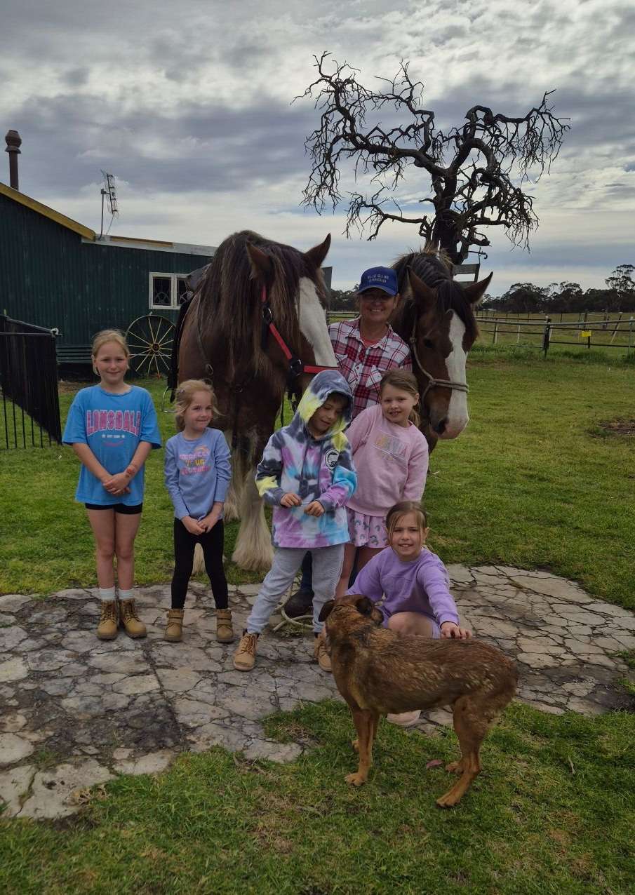 Bluegums Farm, Bordertown