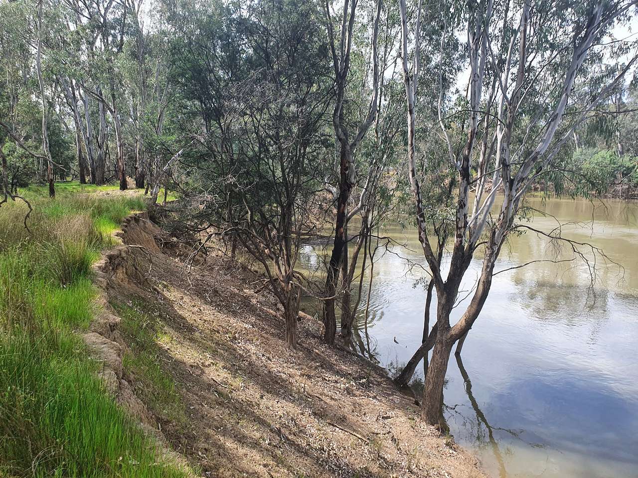 Goulburn Downs