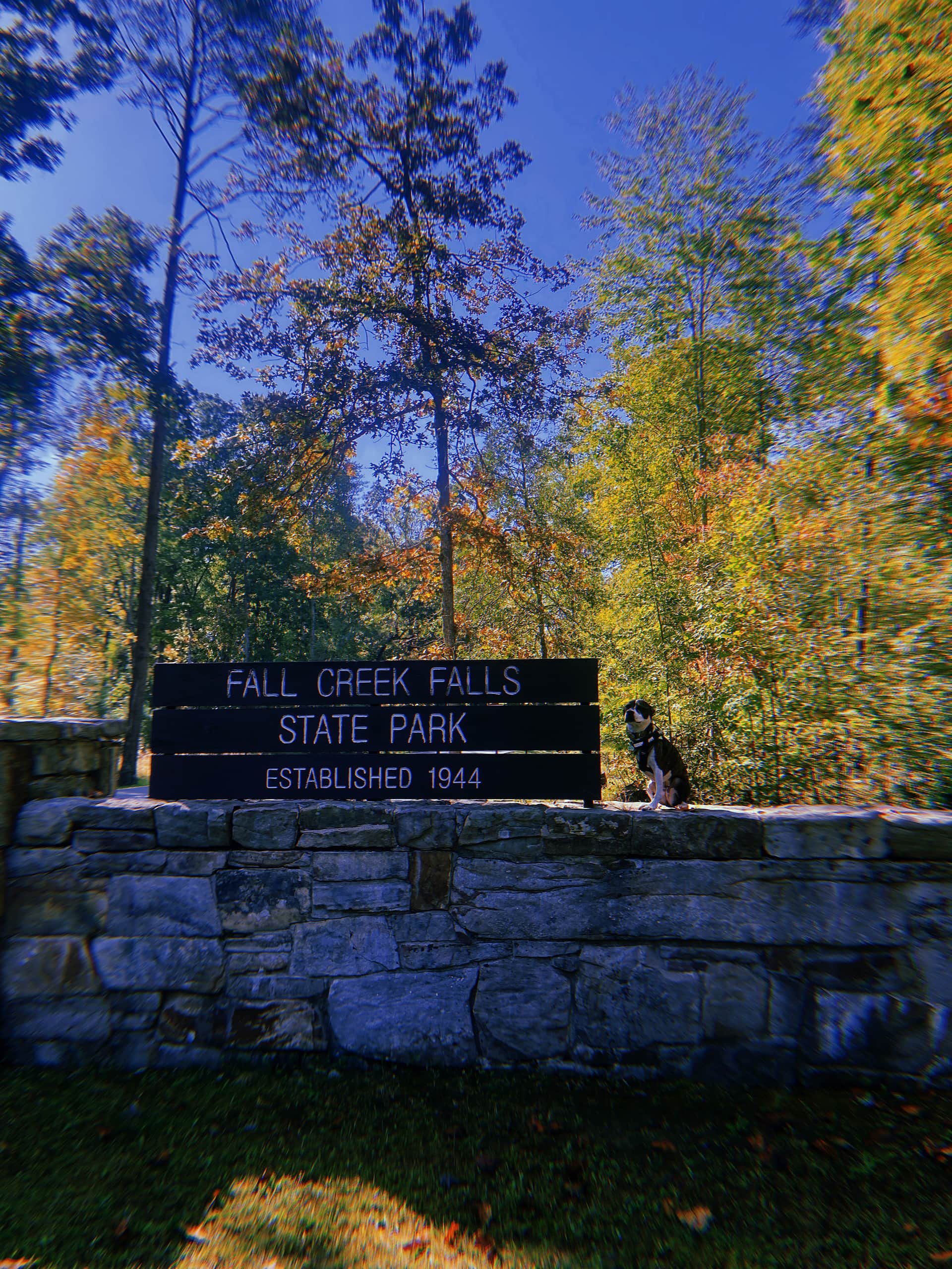 Picture of the site