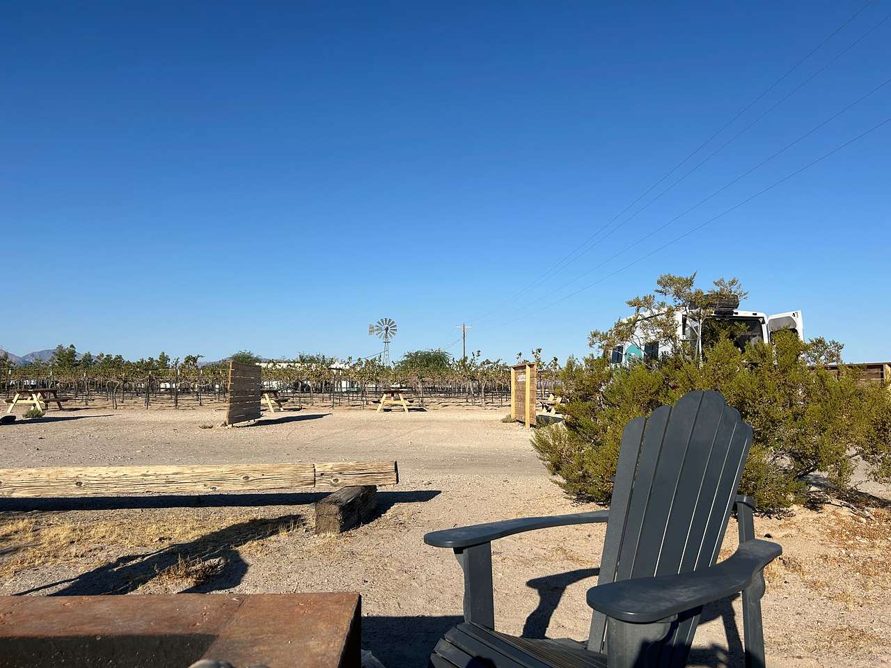 Tarantula Ranch