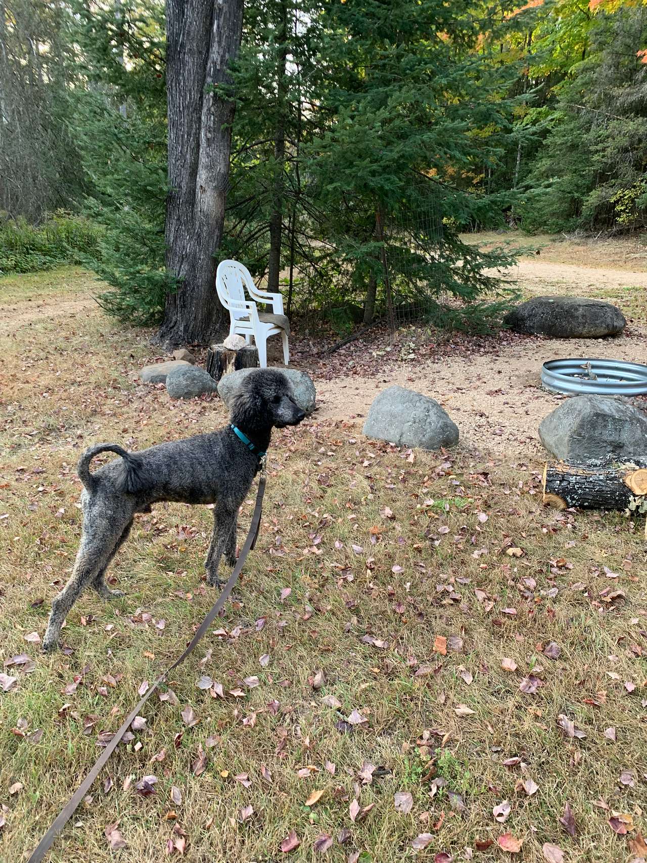 Checking out the fire pit area. 