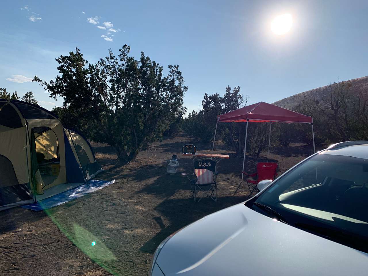 Picture of the site