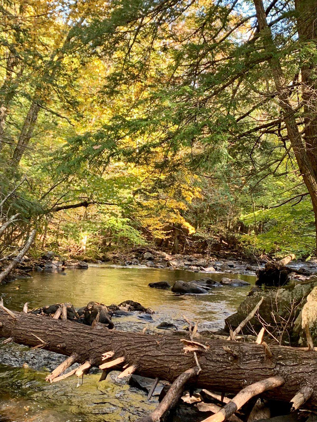 A view down stream