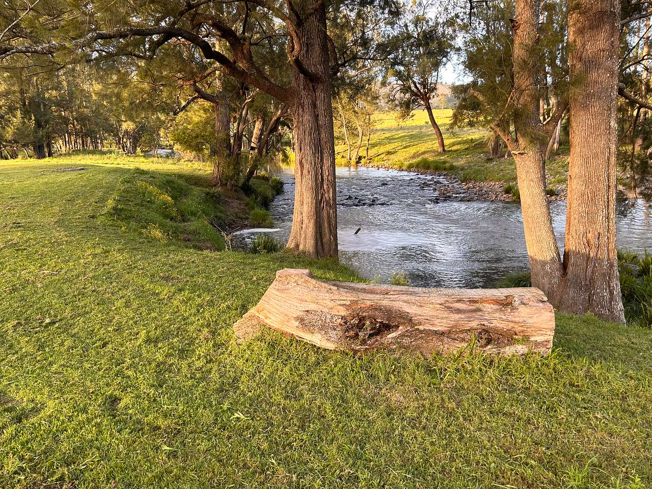 Platypus Pools