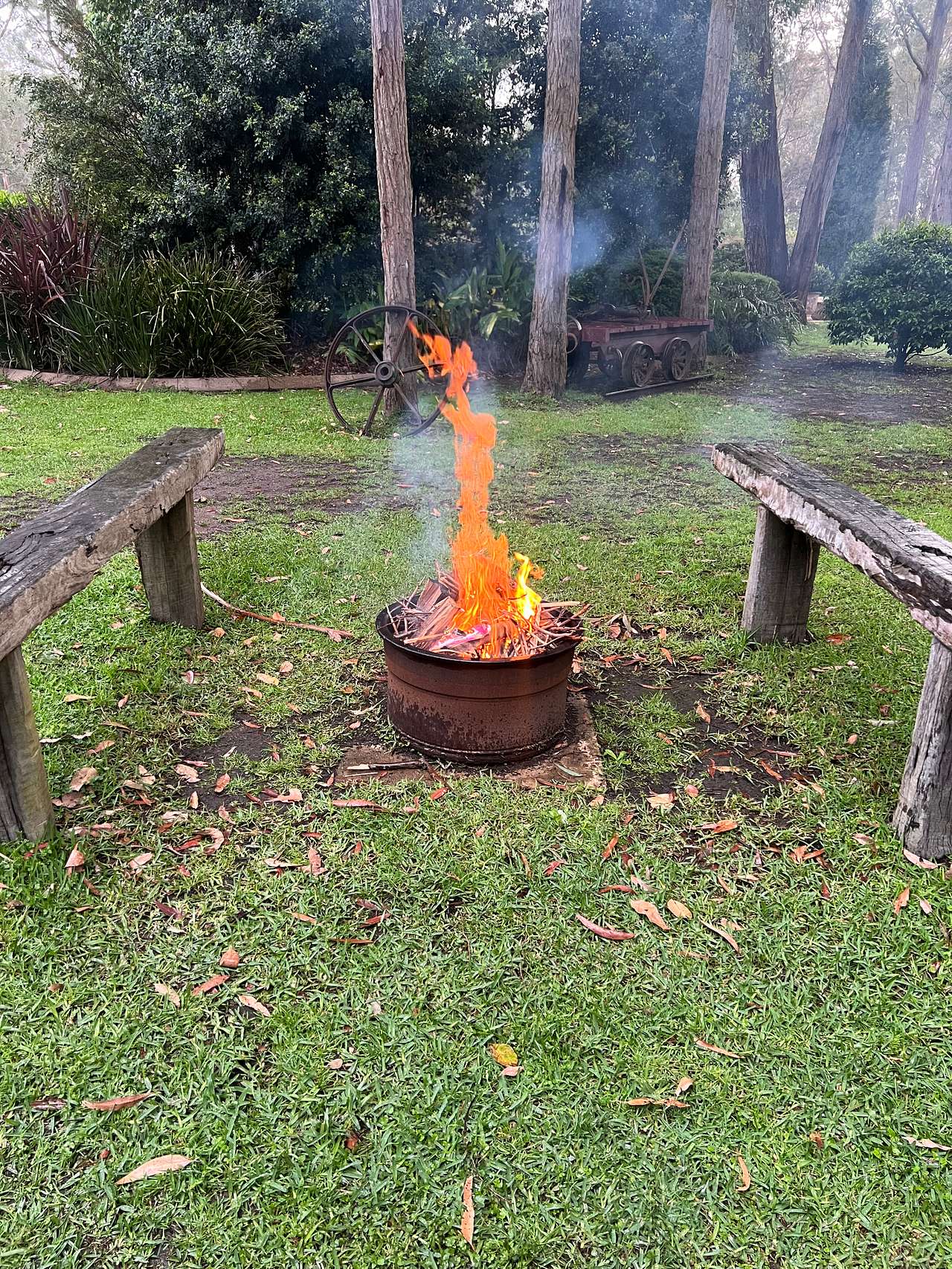 Mistinthegumtrees - Budget 2 Glamping
