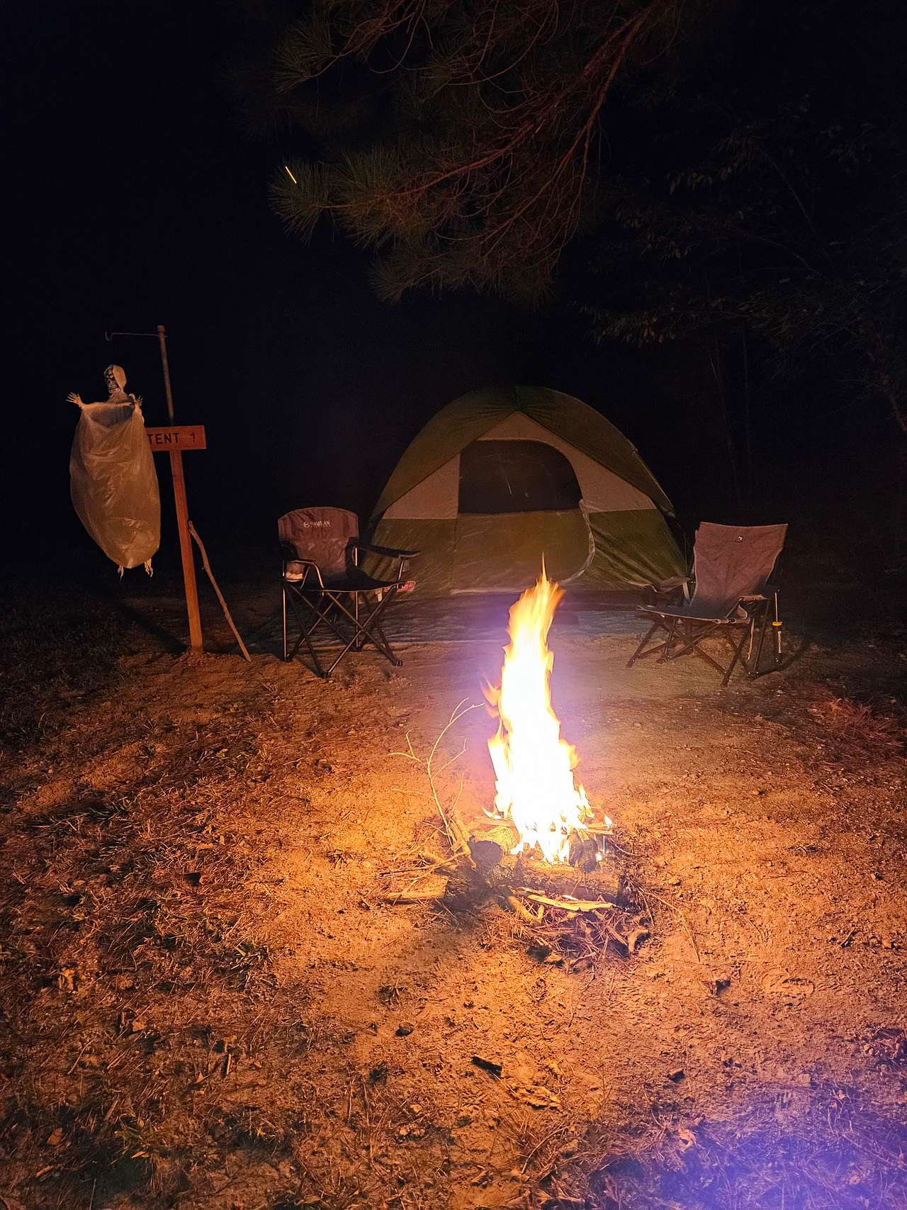 Picture of the site