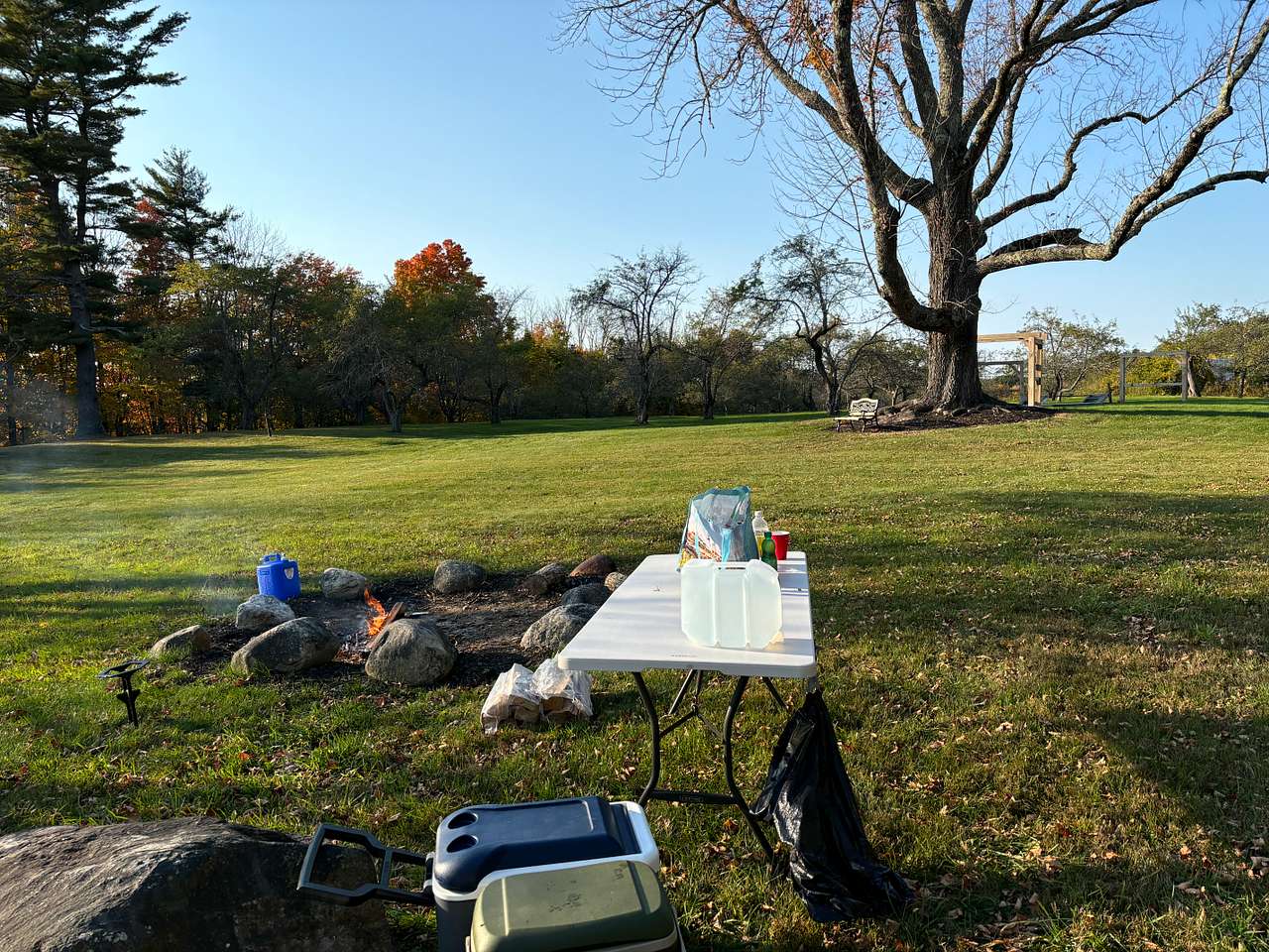 Picture of the site