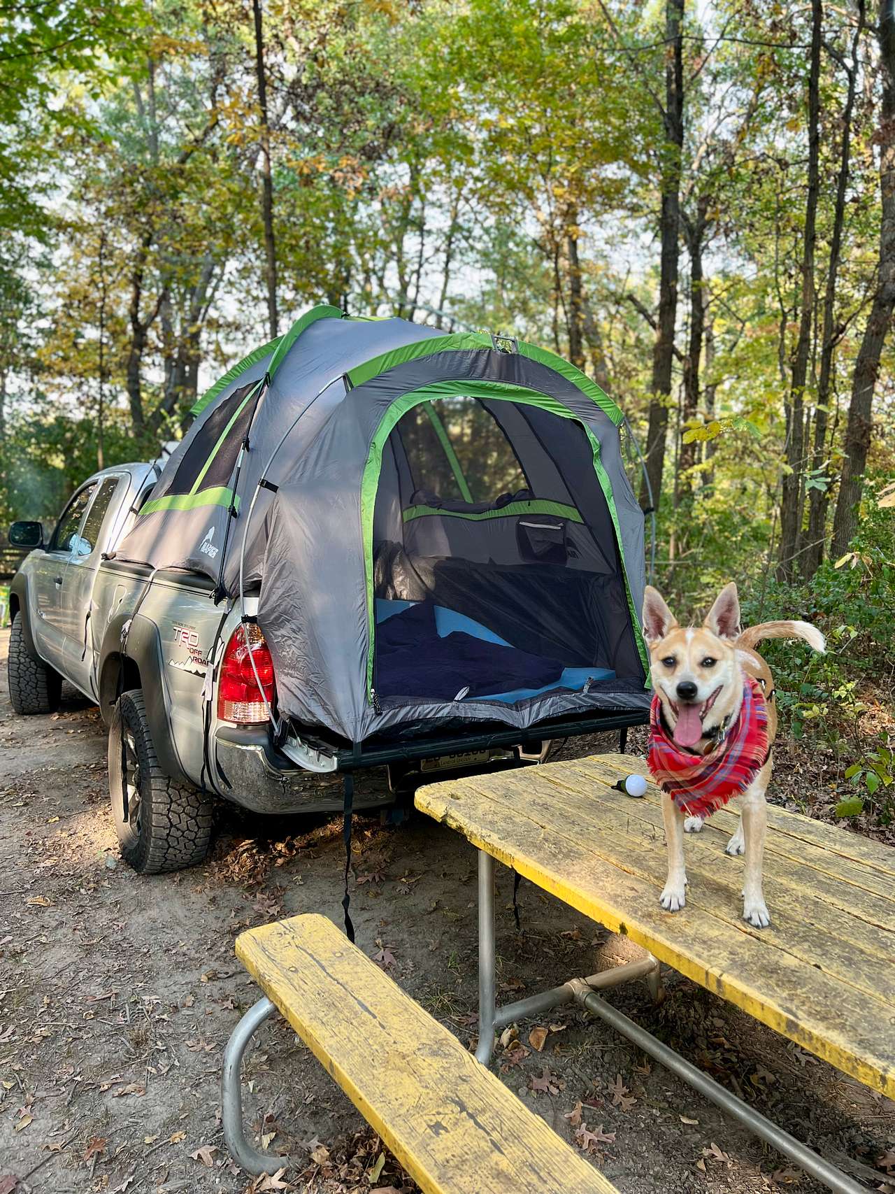 View rigs & rvs photos of Welcome to our Magical Woods