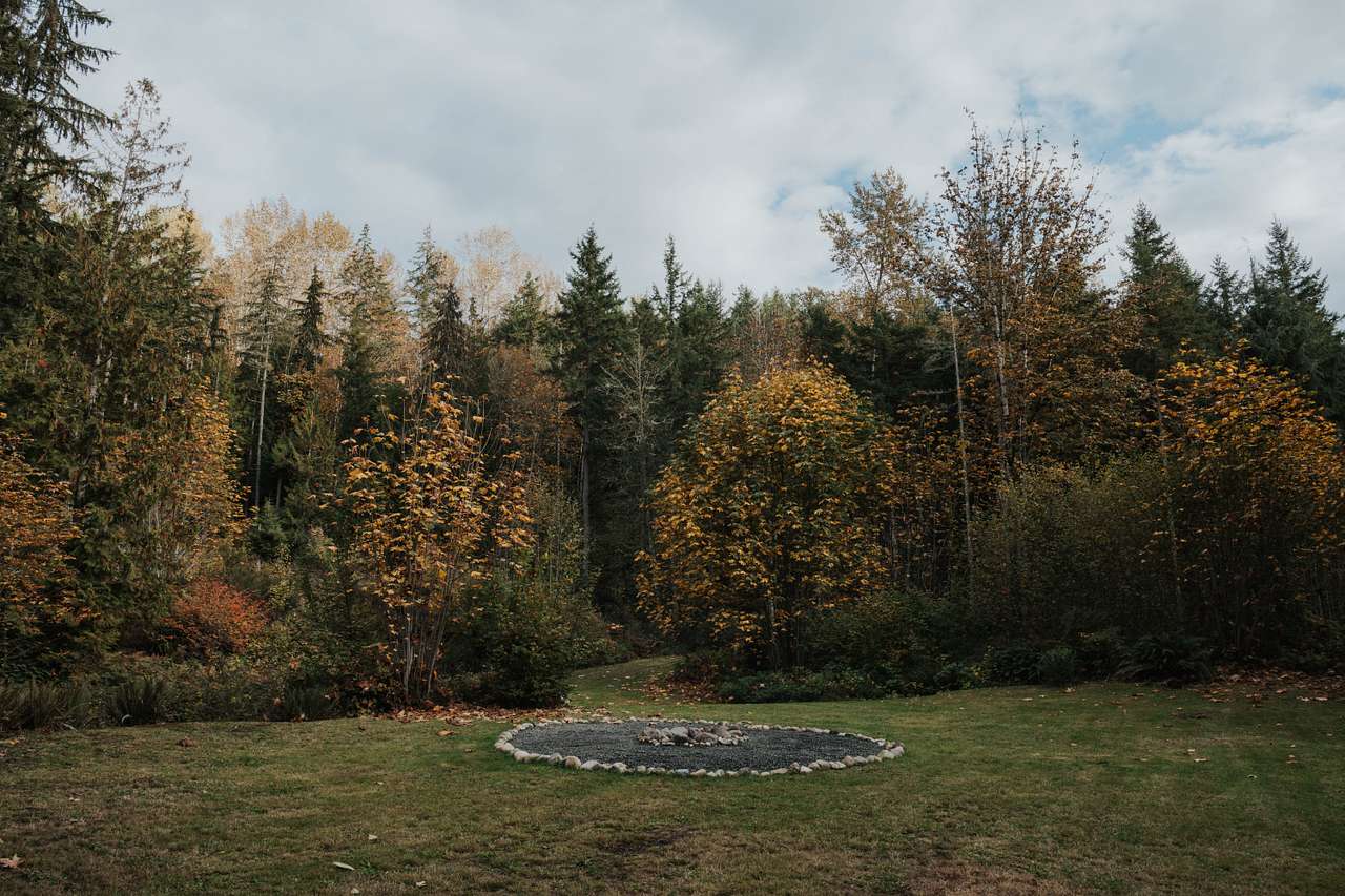 Moonsmoke Woods