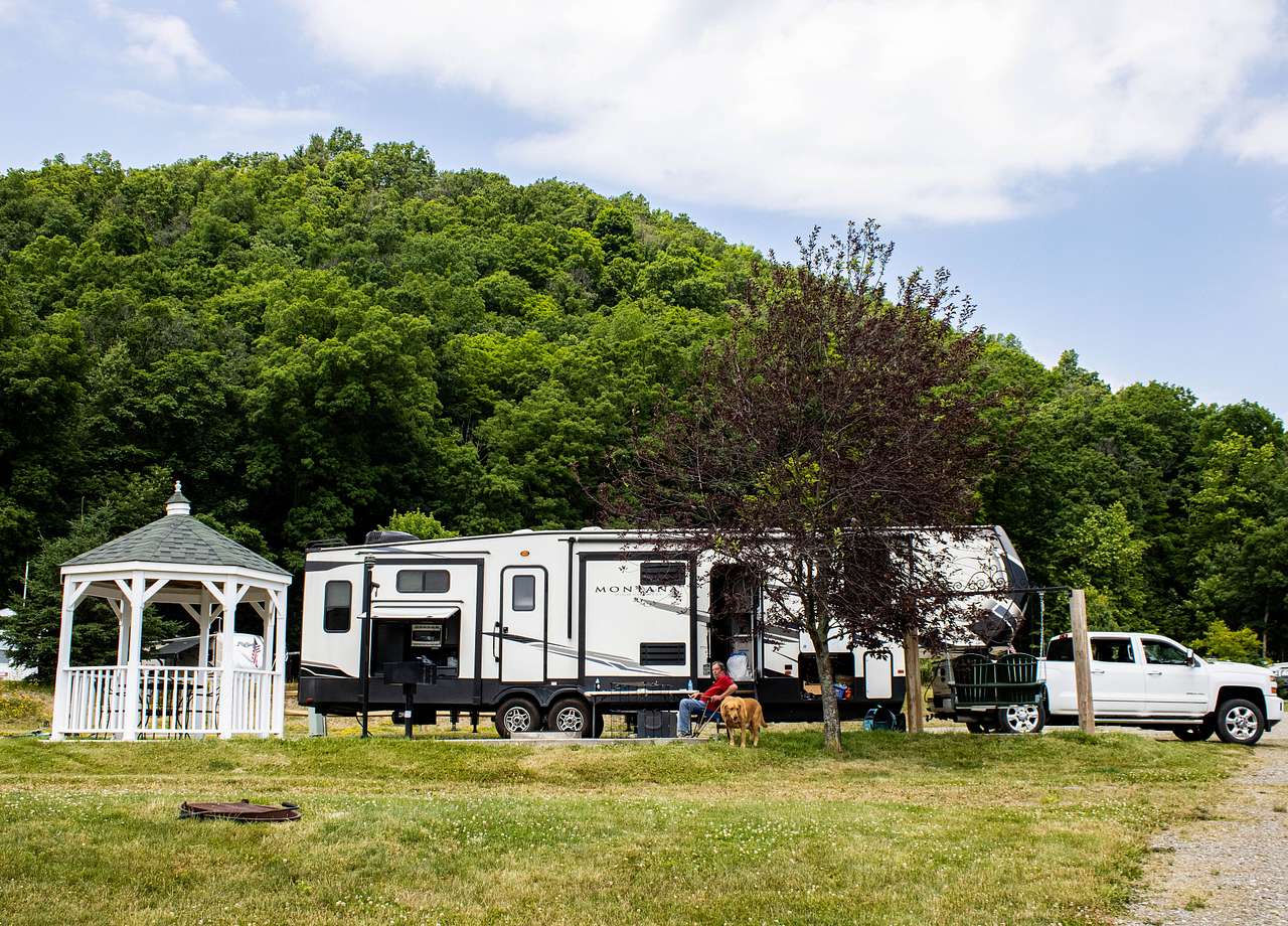 Picture of the site