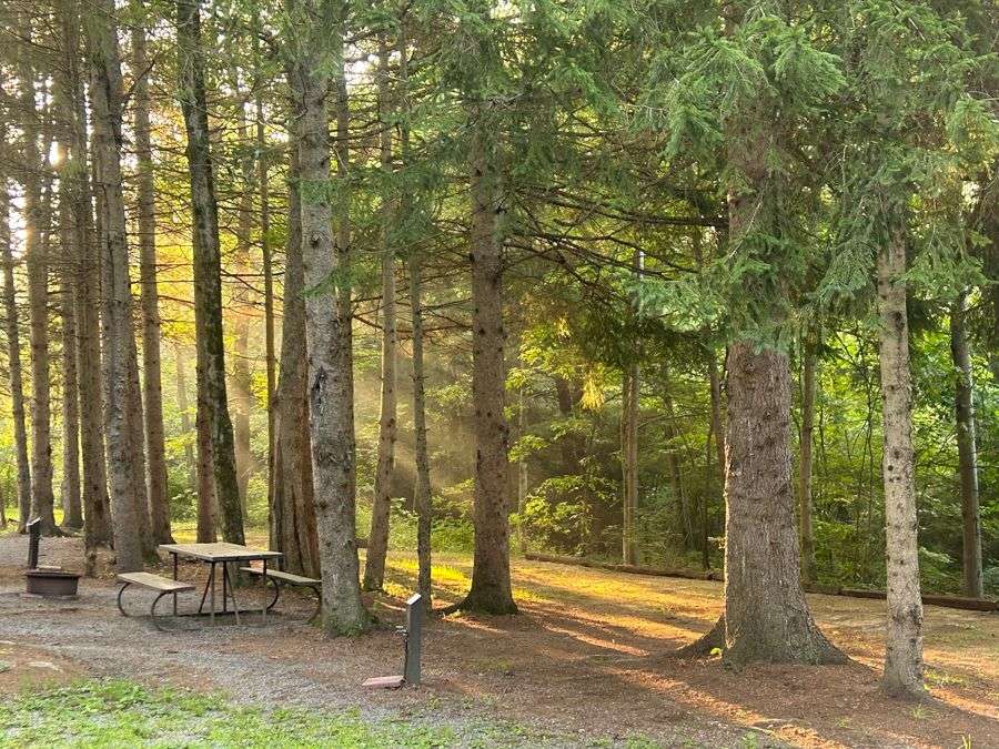 Wooded and scenic campsites at Rustic Acres — shaded RV, van, and tent sites near trails, creek, and Pennsylvania wilderness.