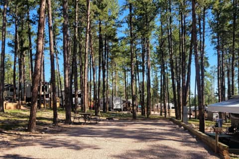 HTR Black Hills