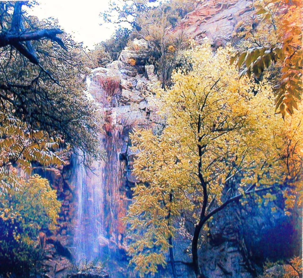 Ash Creek Canyon Preserve