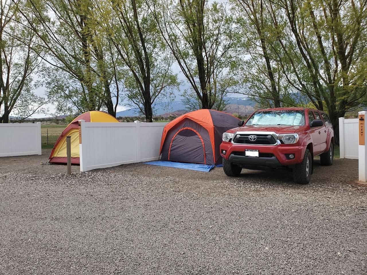 Picture of the site