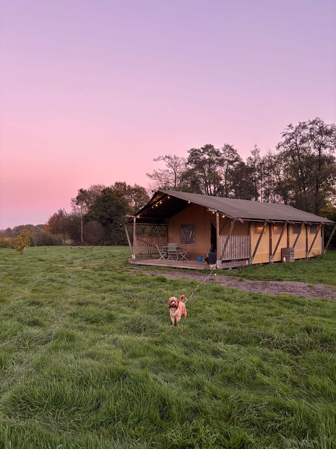 The Hare lodge