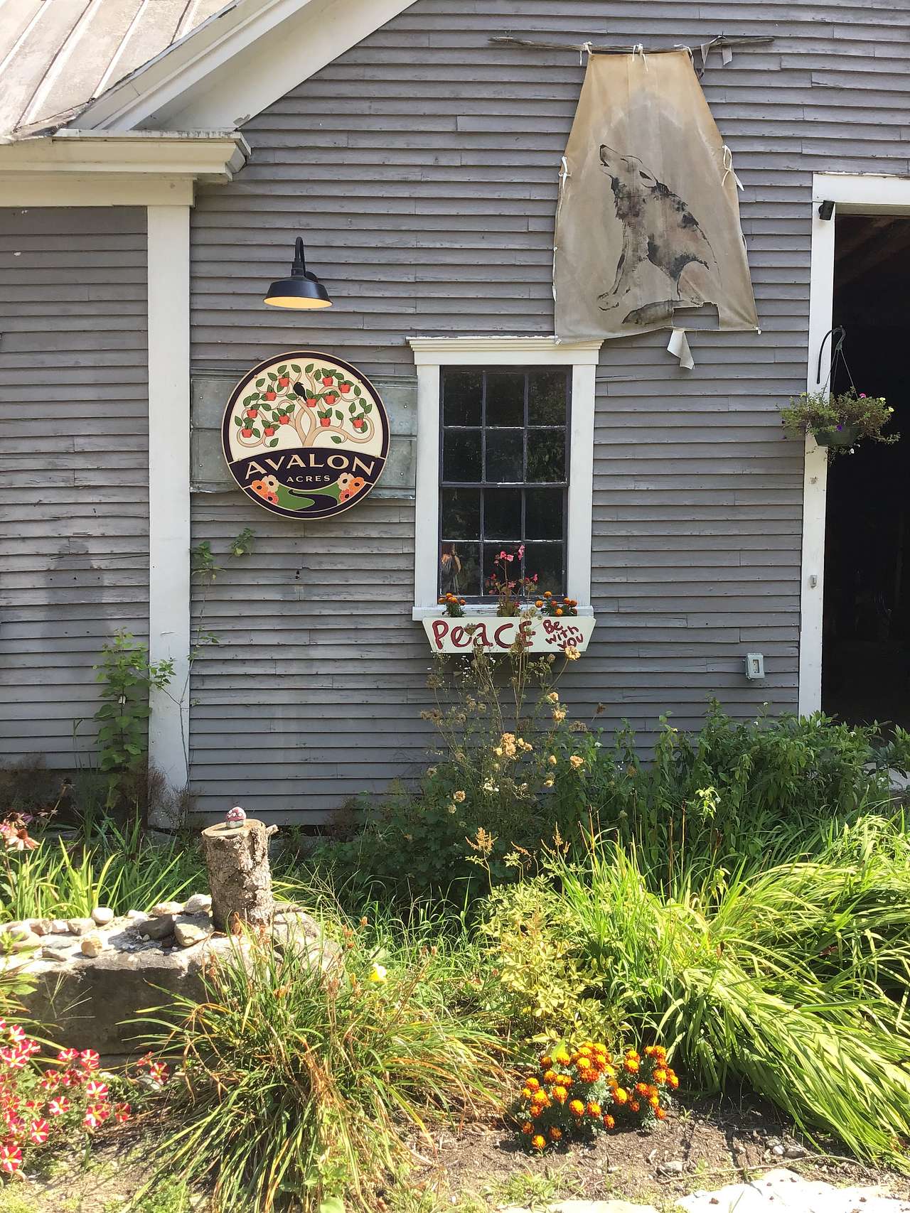 Picture of the site
