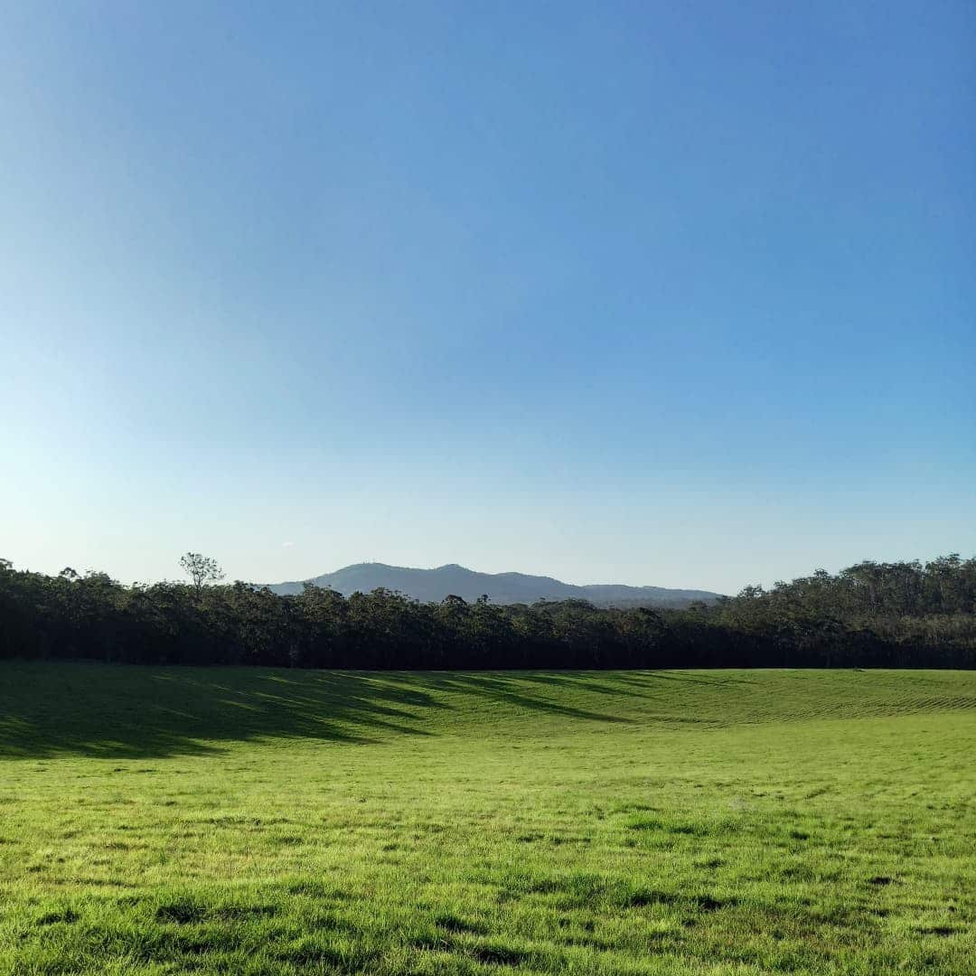 Wild Hope Farm
