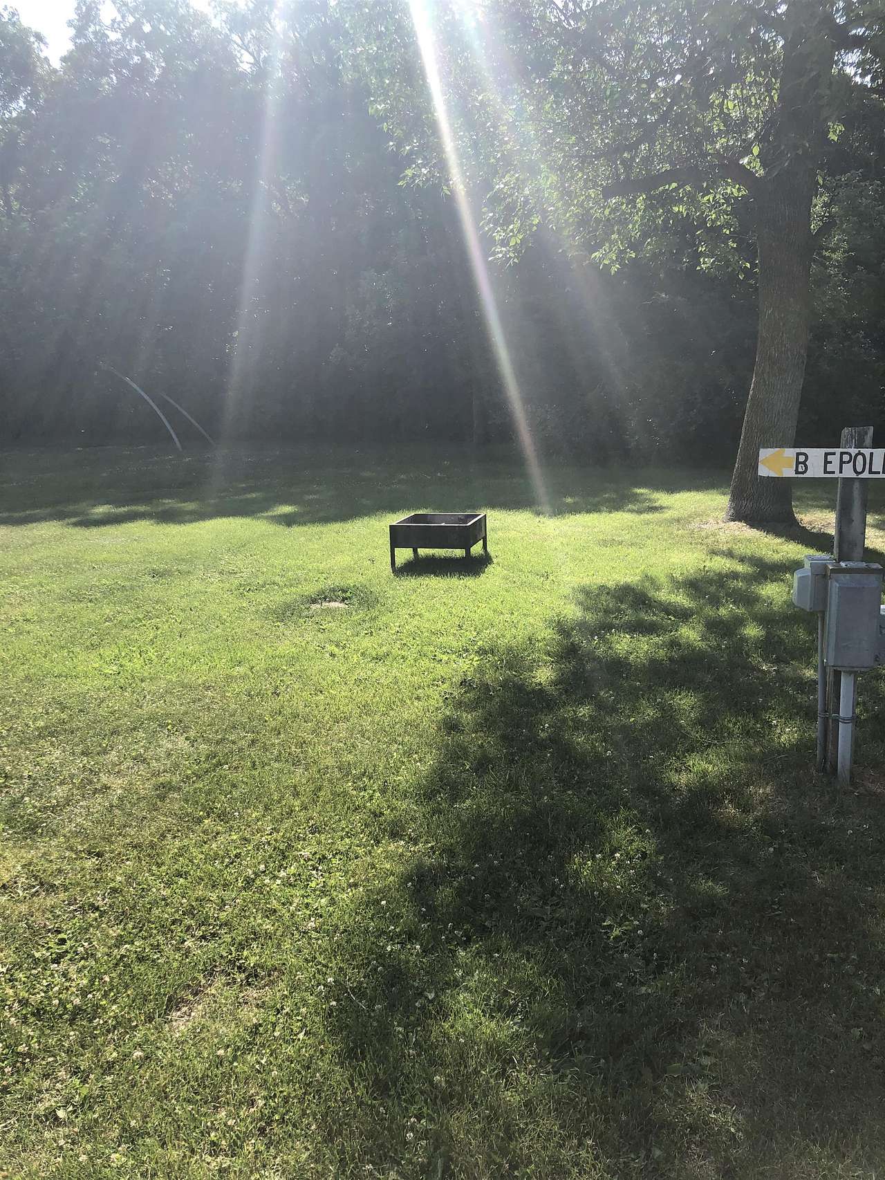 Picture of the site