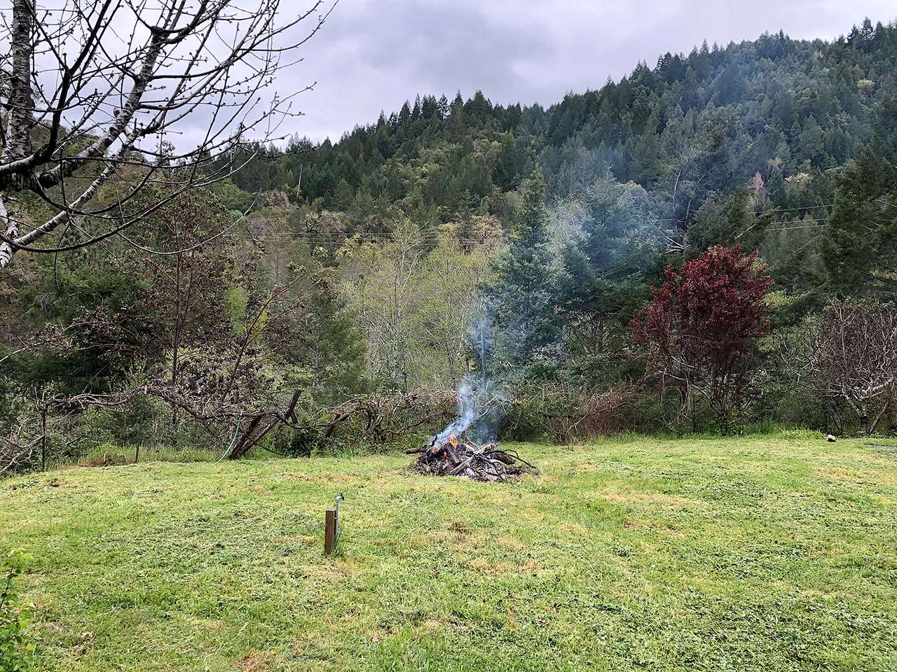 Picture of the site