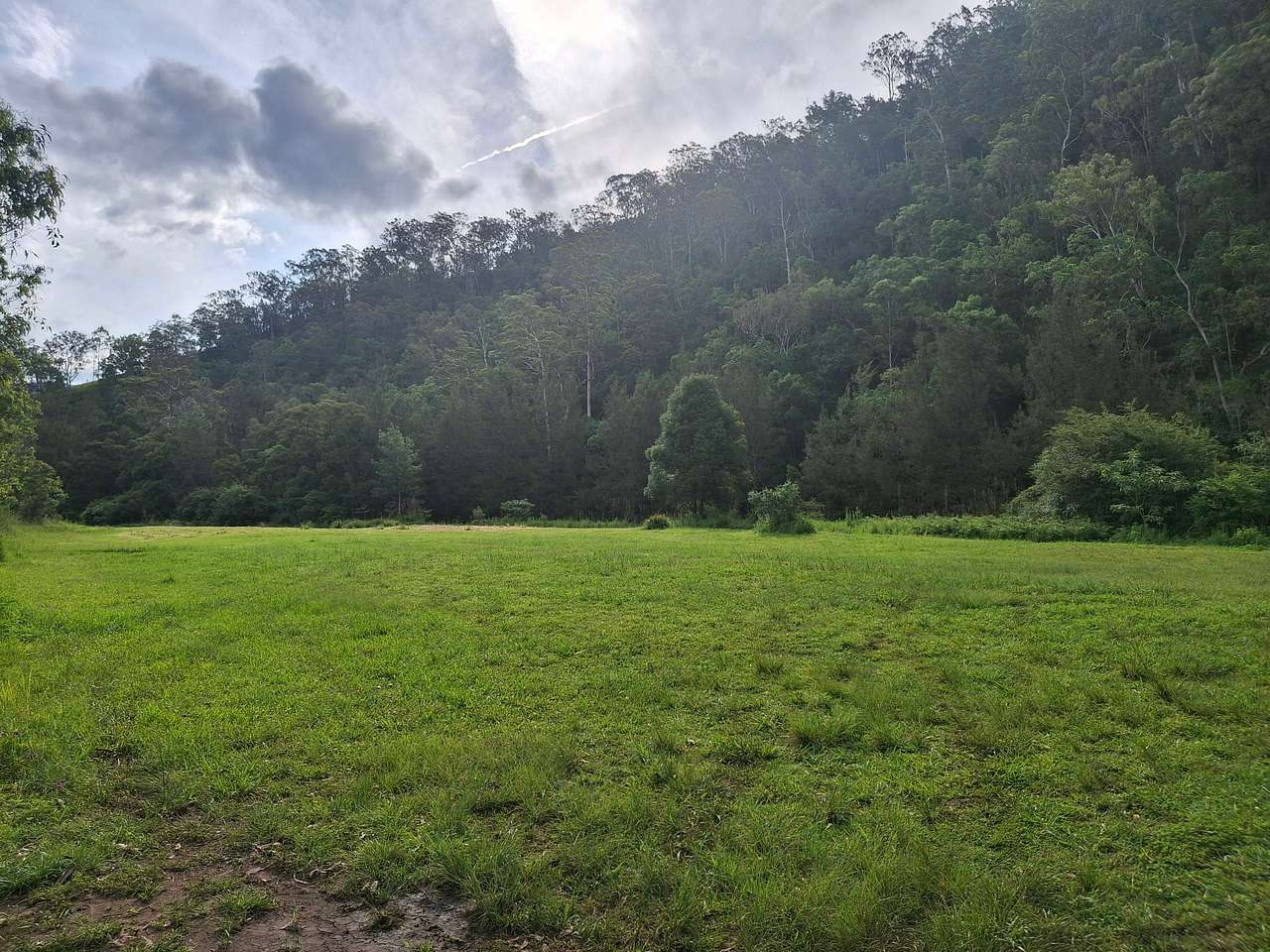 Figtree Farm at Findon Creek