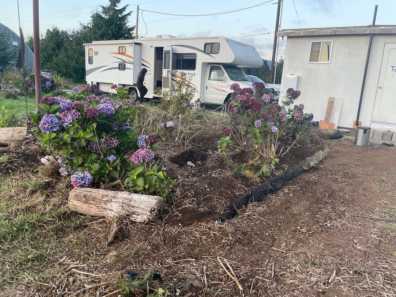 Picture of the site