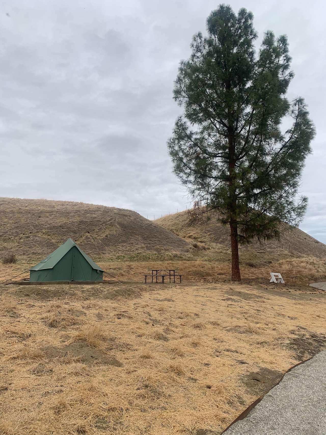 Picture of the site