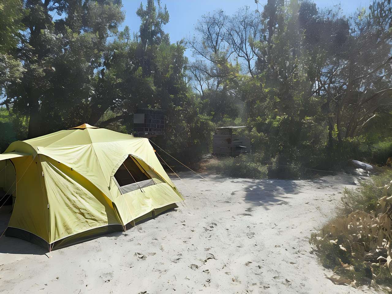 Picture of the site