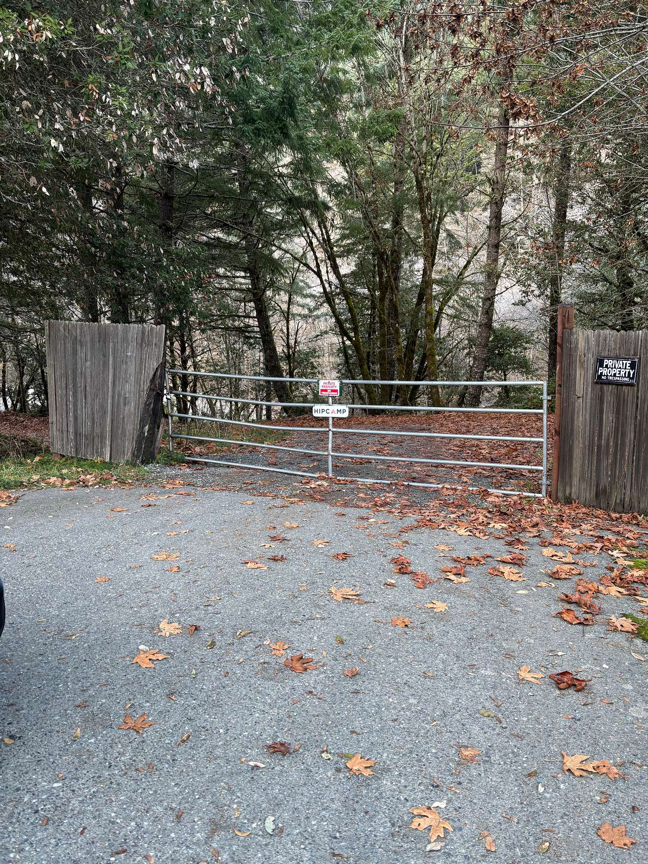 Picture of the site