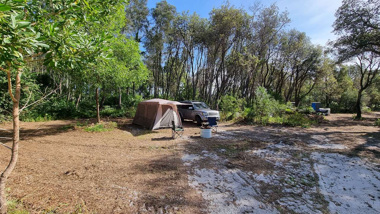 Picture of the site