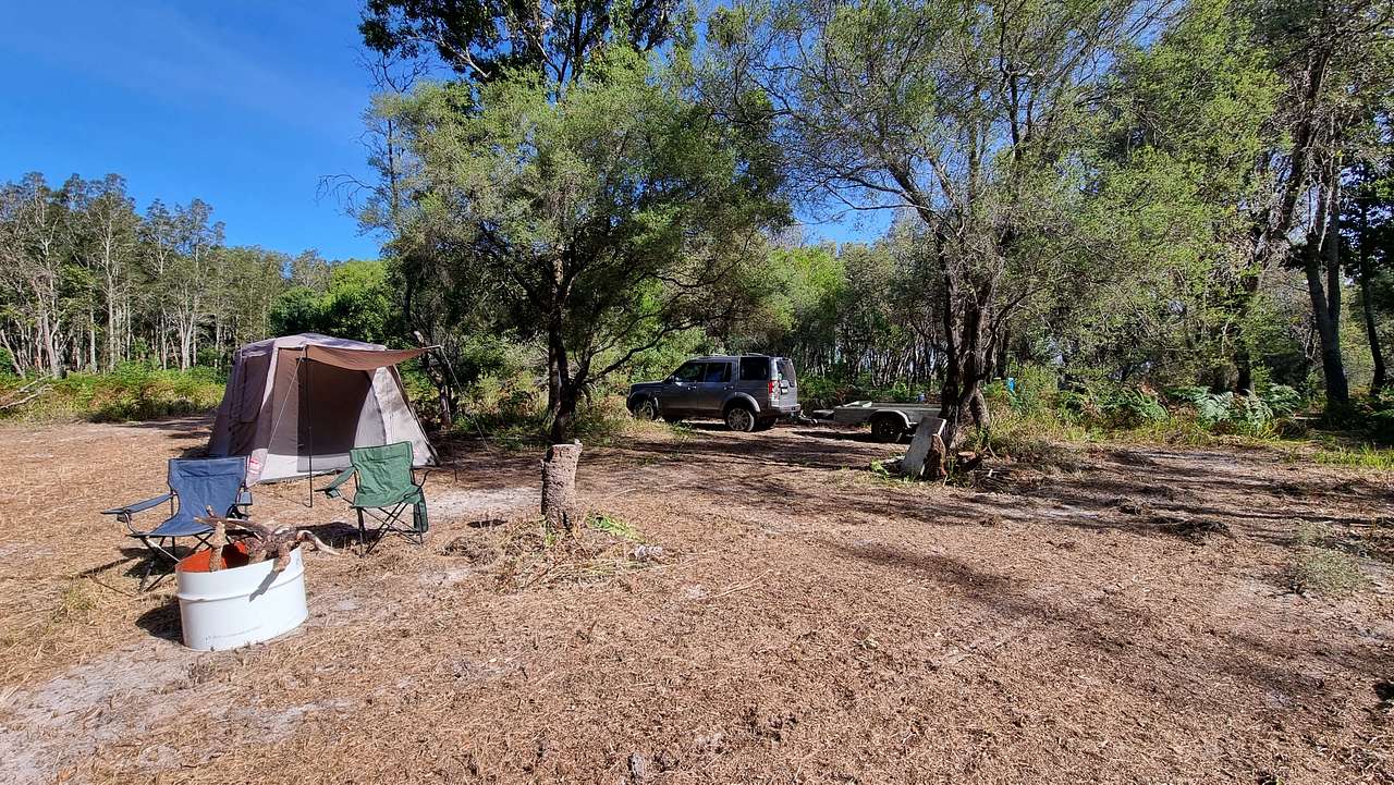 Picture of the site