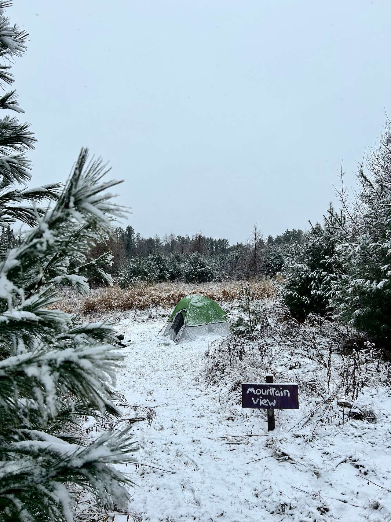Wandering Pines Camping