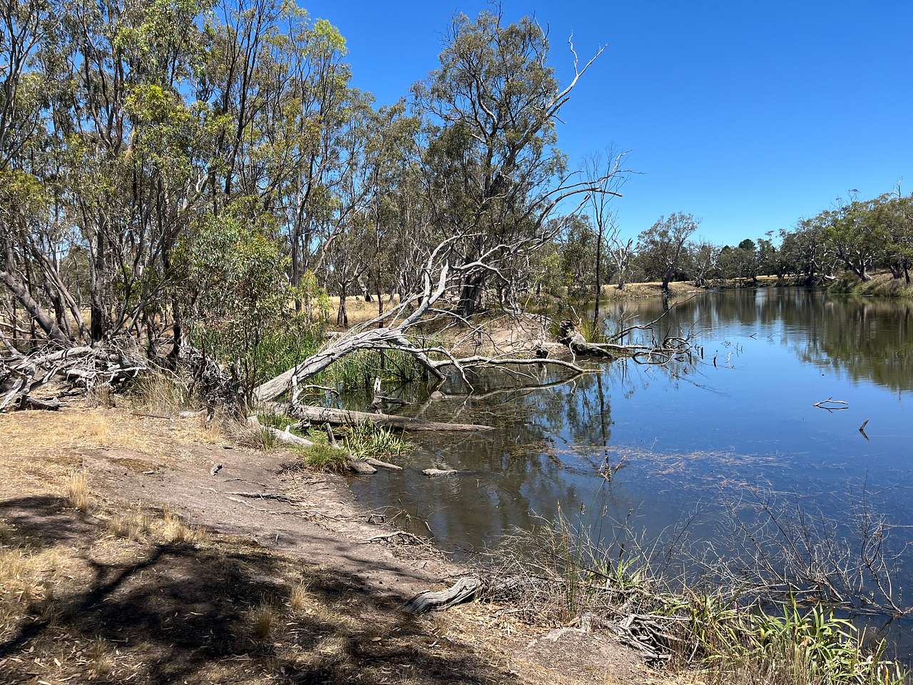 Wimmera River Heights