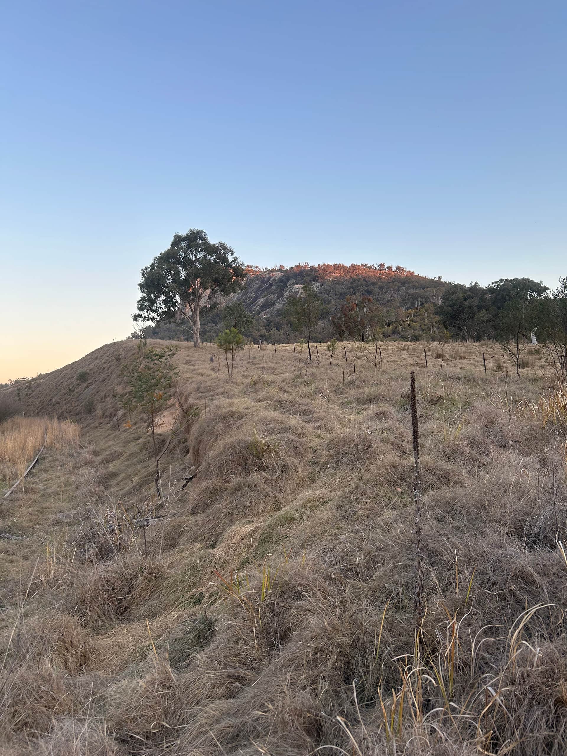 Craigview