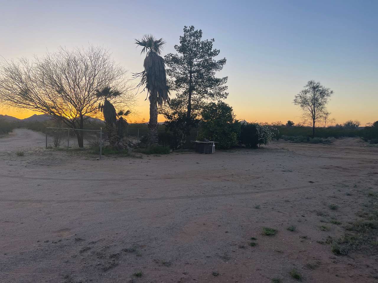 Picture of the site