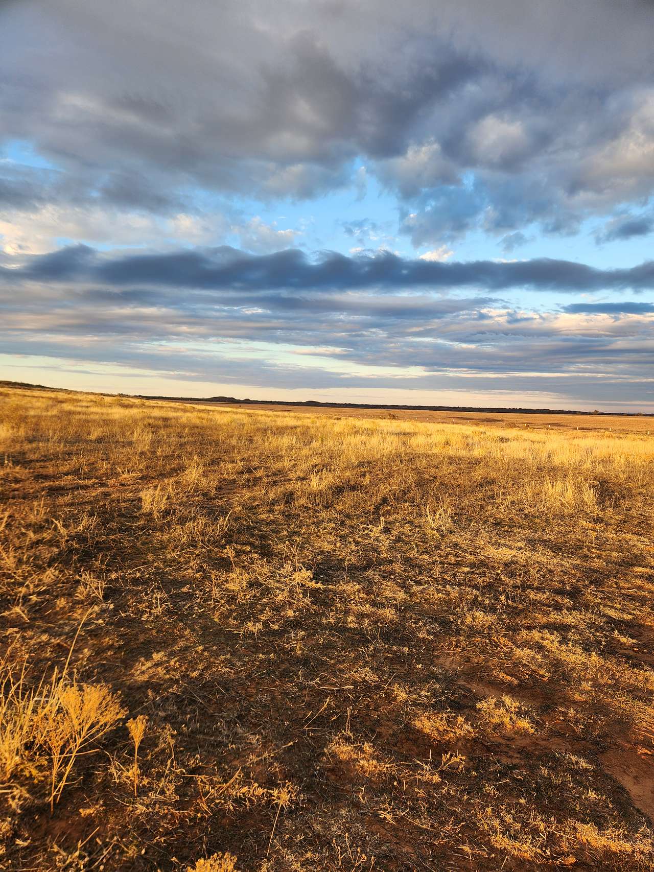 Remote Lone Mound Ranch