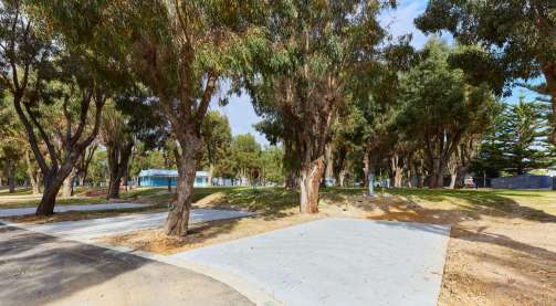 Picture of the site