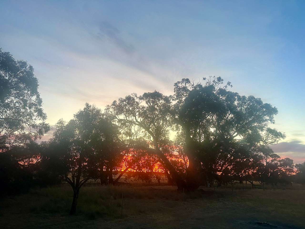 Amazing sunrises